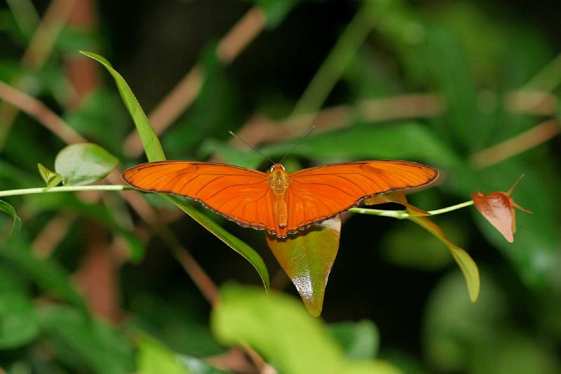 2007 04 22 Coromandel Peninsula 019_DXO.jpg